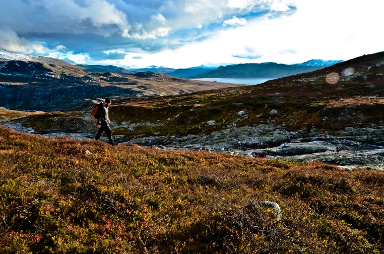 Opp mot Ranastongi i Hemsedal, med Vavatn i bakgrunnen. (Foto: Mari Valen Høihjelle)